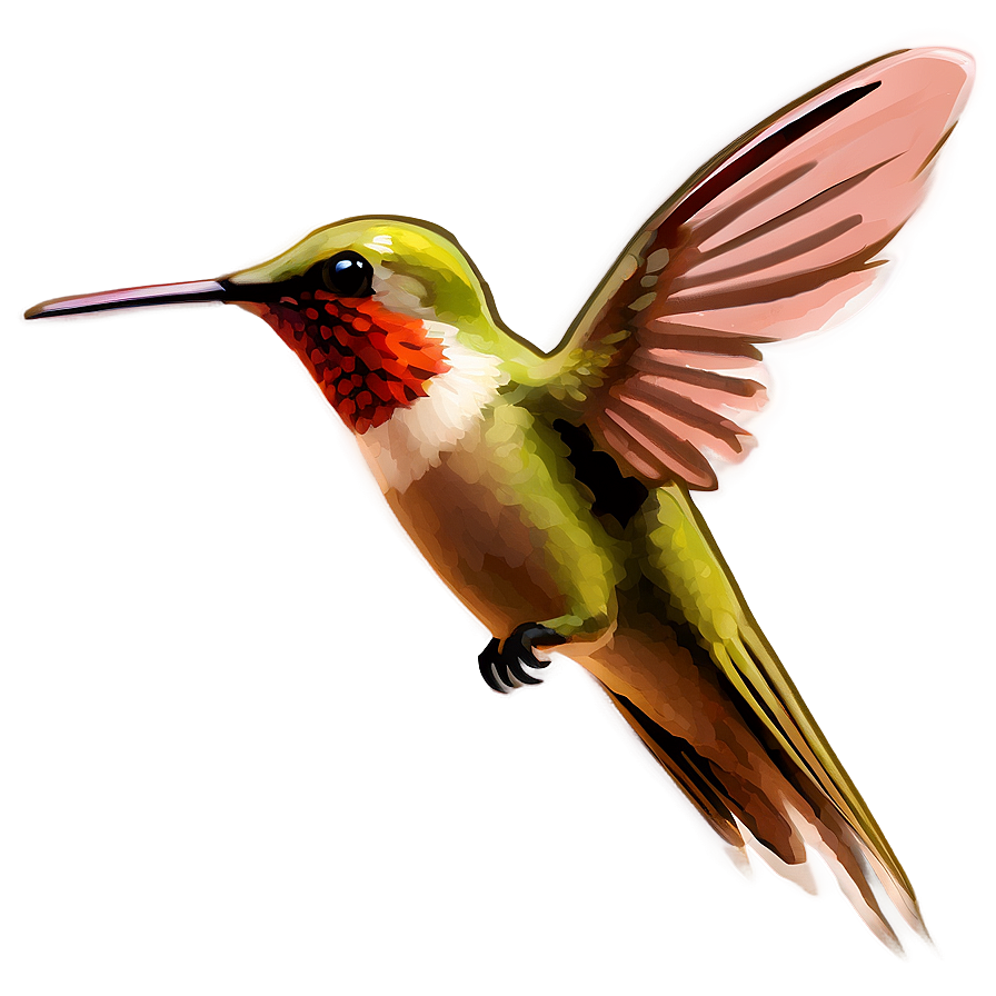 Flying Hummingbird PNG 05212024 PNG with transparent background