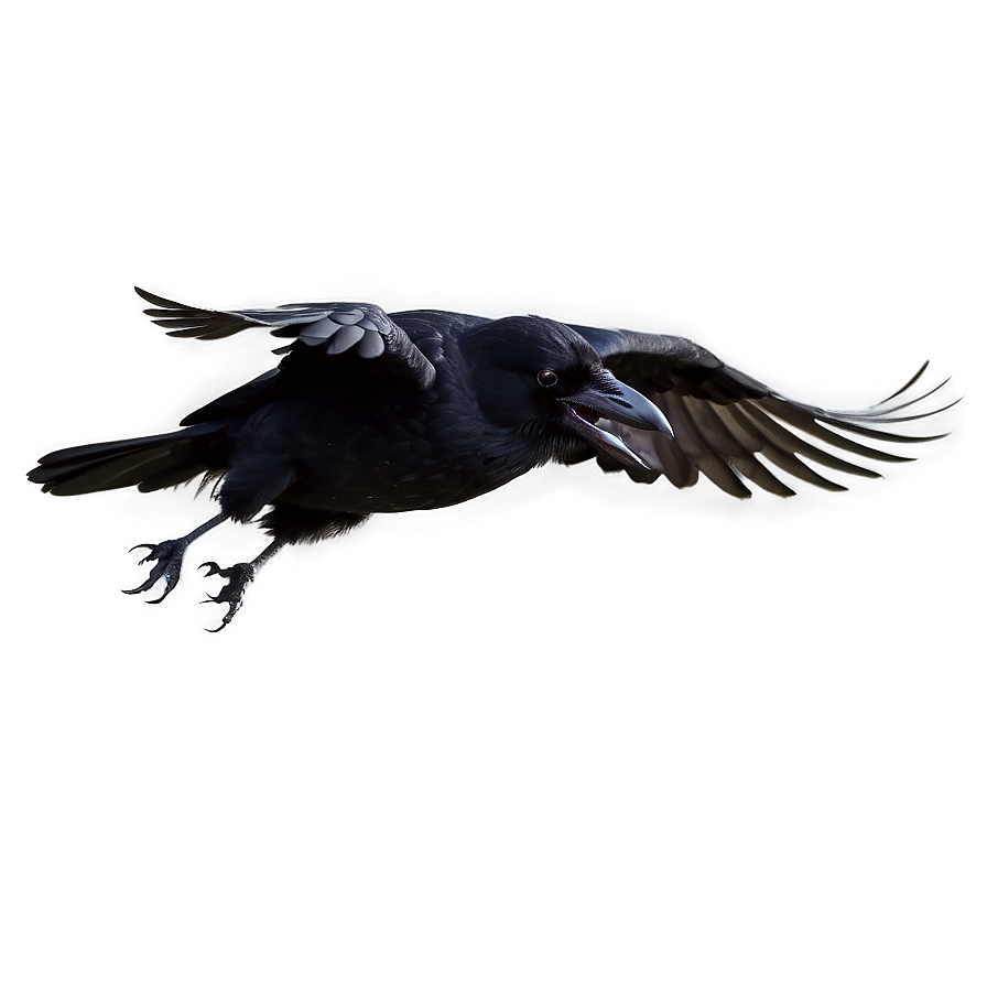 Flying Raven PNG 34 PNG with transparent background