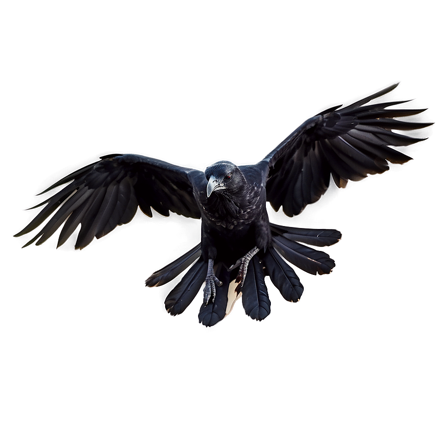 Flying Raven PNG hpx43 PNG with transparent background