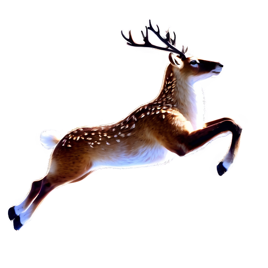 Flying Reindeer Png 98