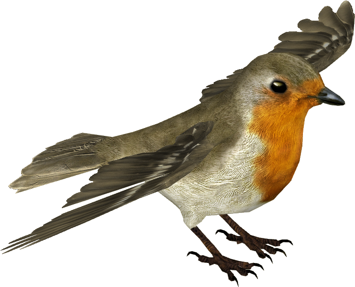 Flying Robin Transparent Background