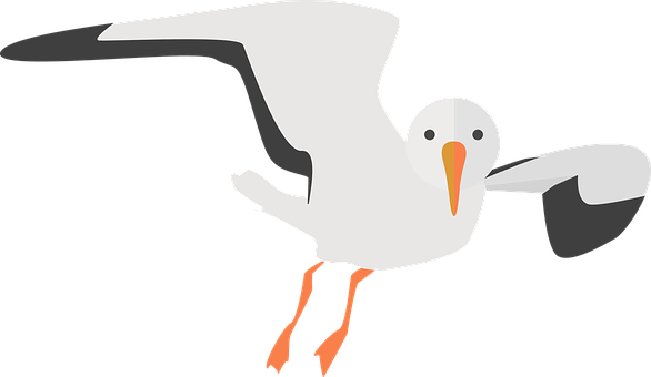 Flying Seagull Vector Illustration PNG with transparent background