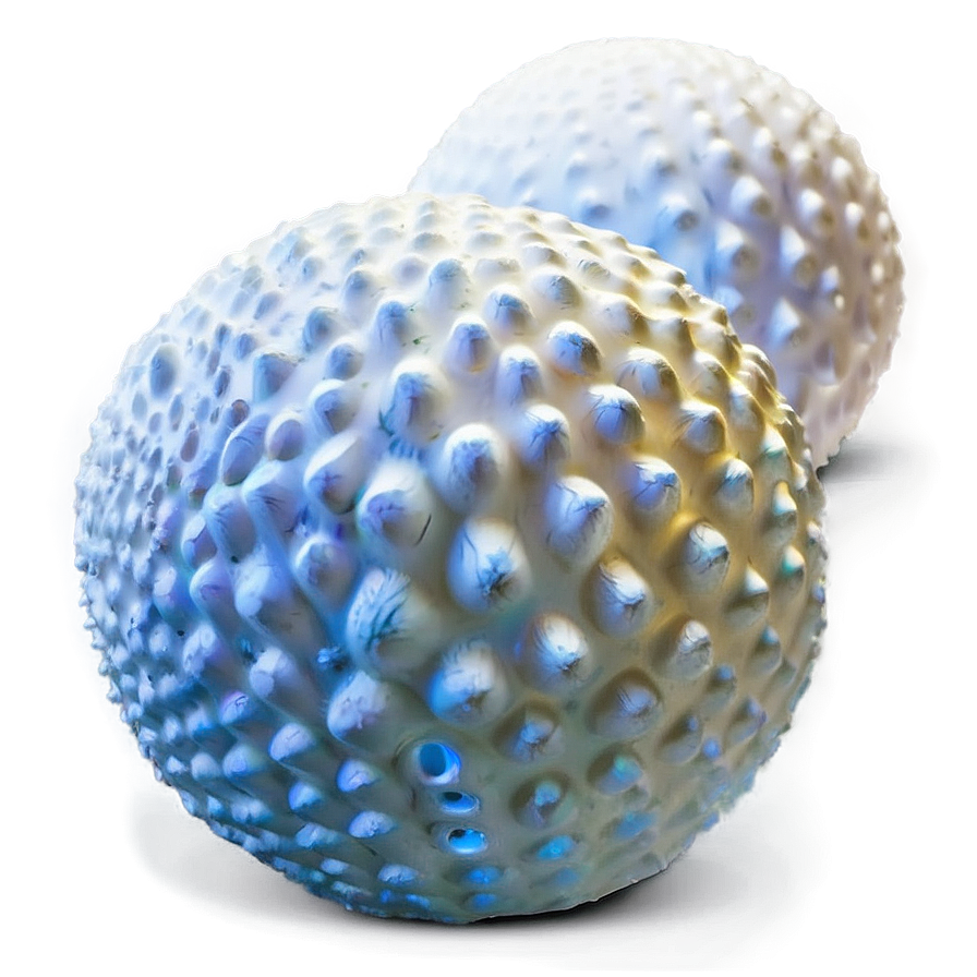 Foam Ball Png 52