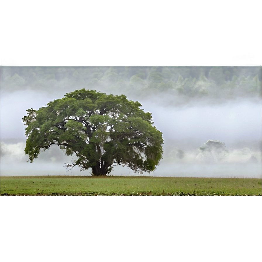 Foggy Countryside Png Uok82