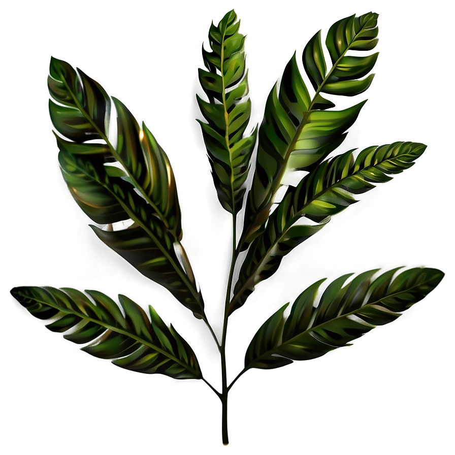 Foliage Plant Png 84