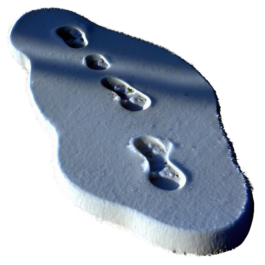 Footprints In Snow Path Png 9