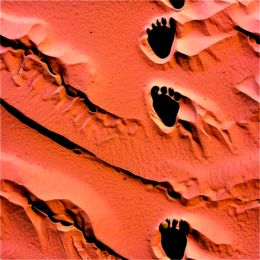 Footprints On Sandy Desert Png 06242024