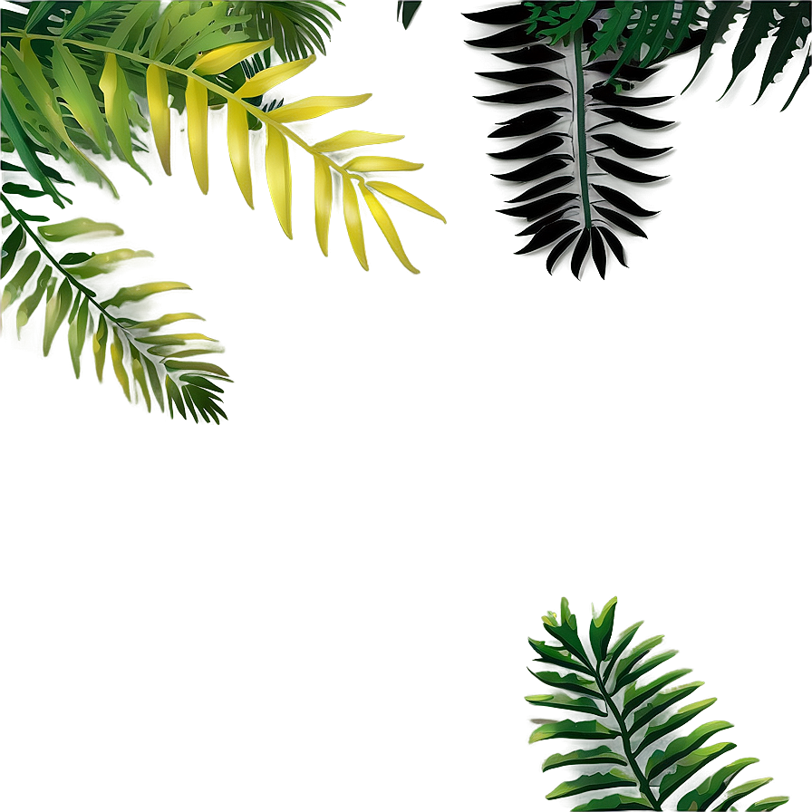 Forest Canopy Top Clipart Png 06262024