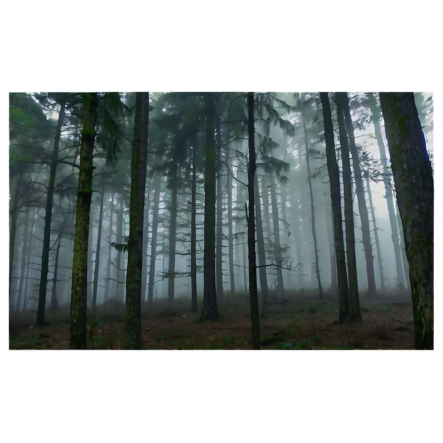 Forest Fog Transparent Png 97