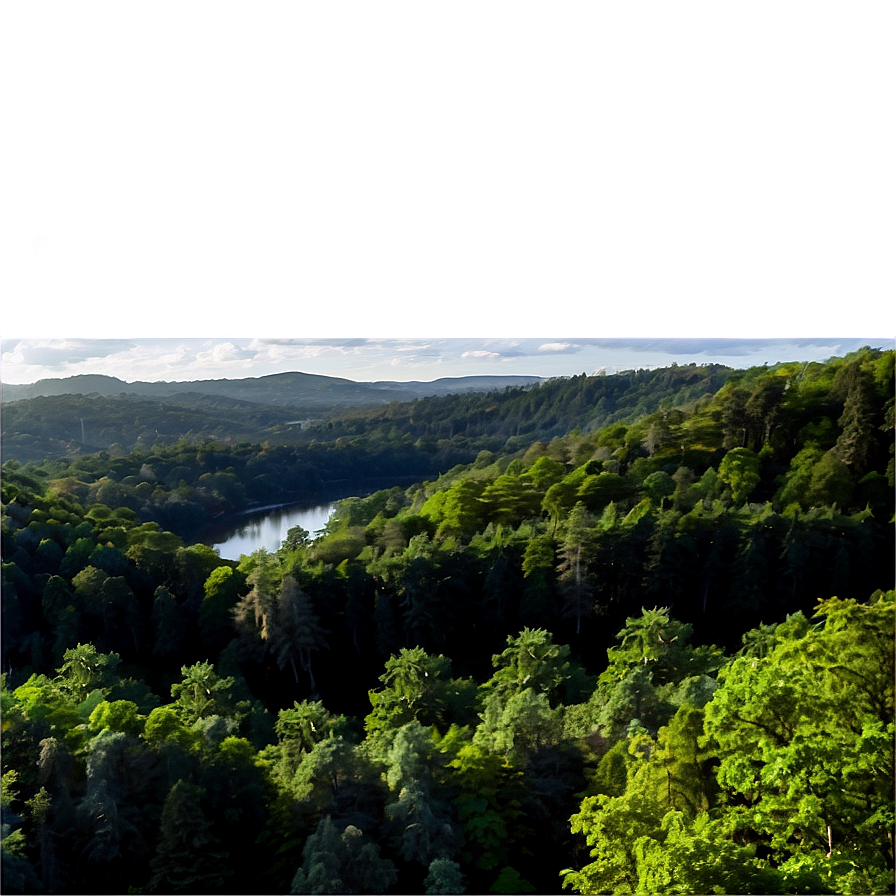 Forest Landscape PNG 06112024 PNG with transparent background