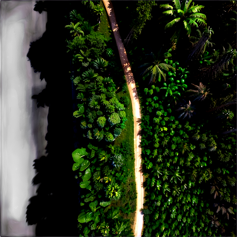 Forest Loss Impact PNG frv56 PNG image with a transparent background, free high-resolution download