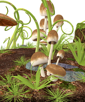 Forest_ Mushrooms_ Digital_ Rendering PNG with transparent background