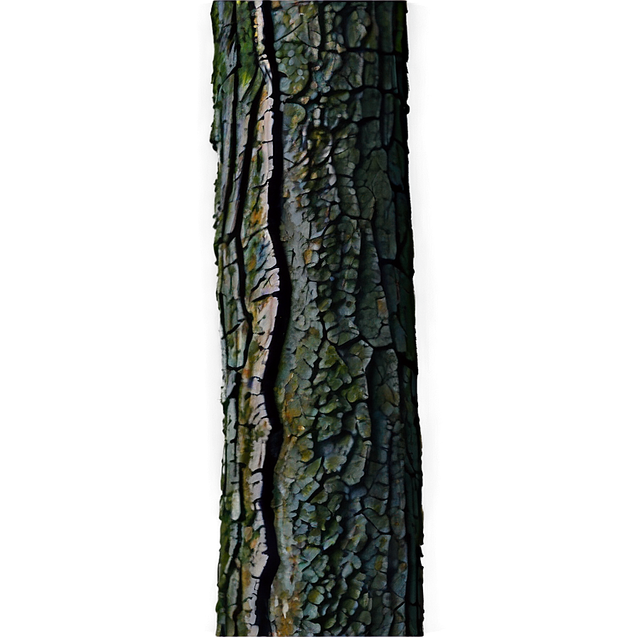 Forest Tree Trunk Png 05242024