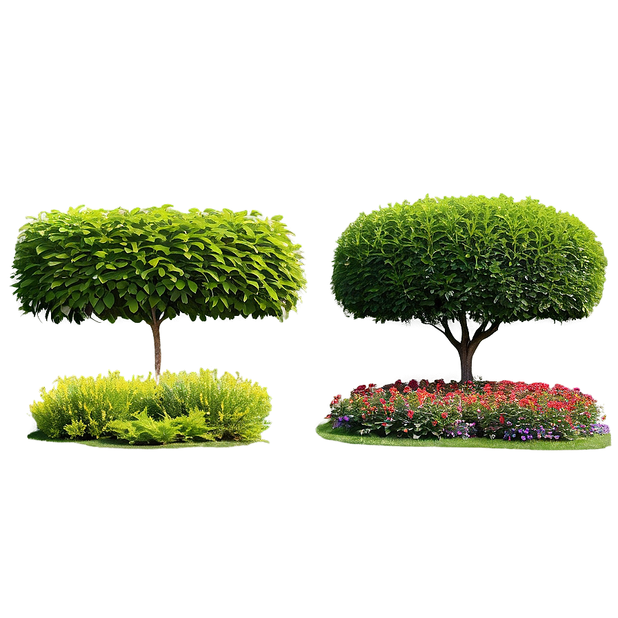 Formal Garden Shrubs PNG tpy PNG image with a transparent background, free high-resolution download