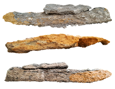 Fossilized Wood Specimens PNG with transparent background