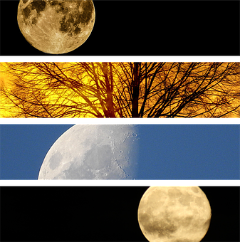 Four Moon Phases Collage PNG with transparent background