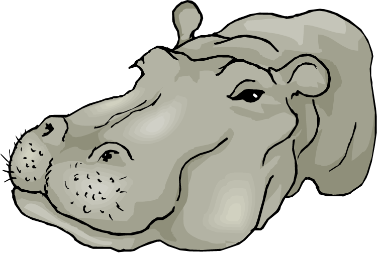 Free Hippo Clipart - Hippo Head Png, Transparent Png PNG with transparent background