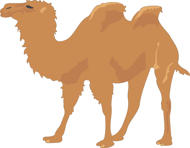 Free Vector Camel - Camel Clip Art Png, Transparent Png PNG with transparent background