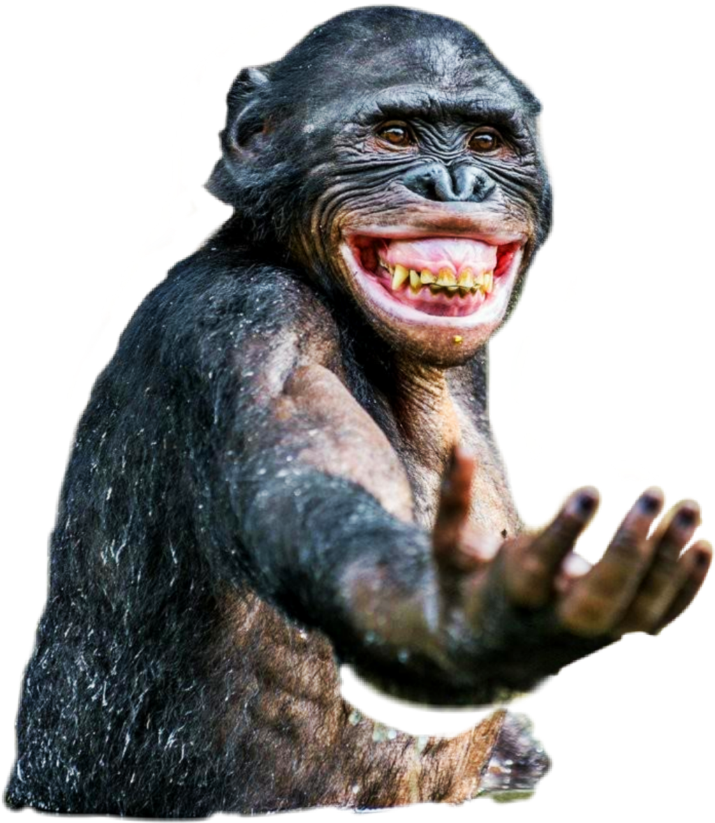 #freetoedit #sticker #chimp - Smiling Chimpanzee, HD Png Download PNG with transparent background