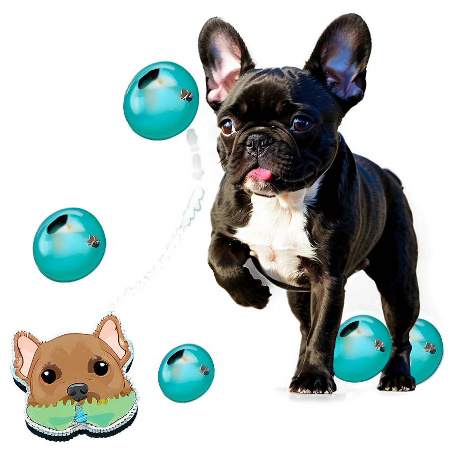 French Bulldog Playing Png Rgw71