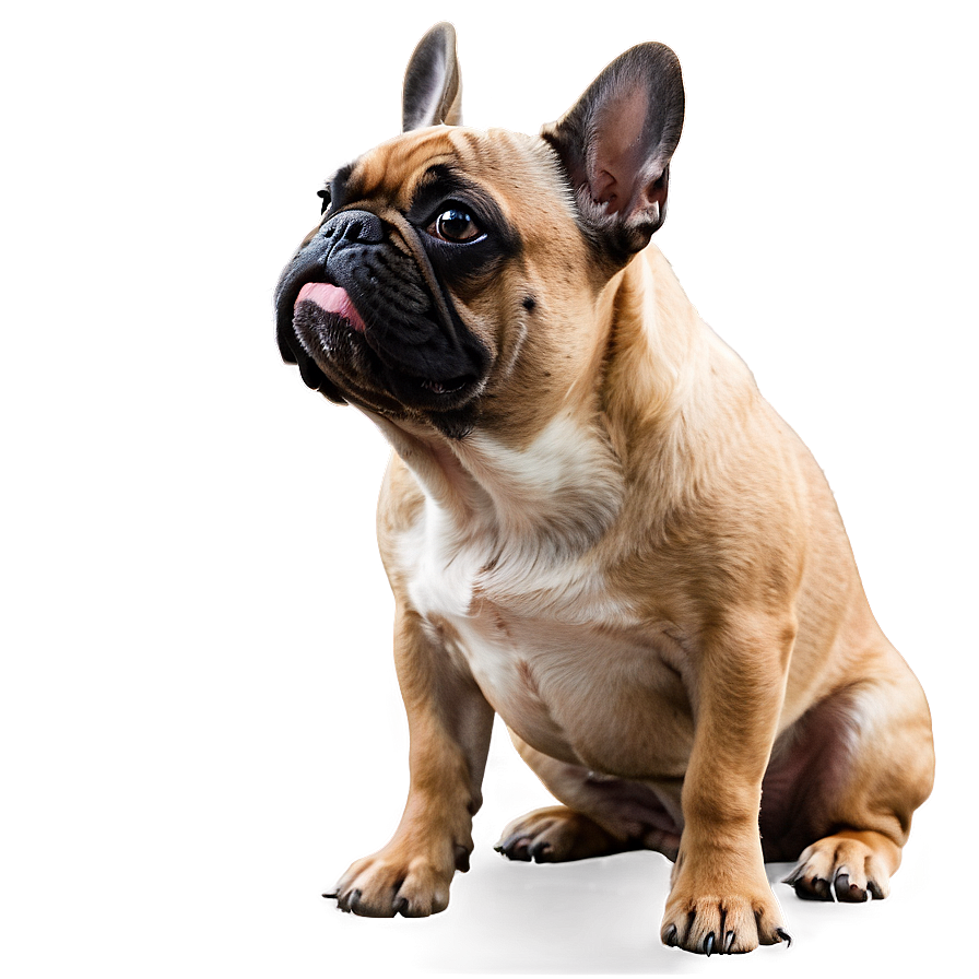 French Bulldog Side View Png Rle94