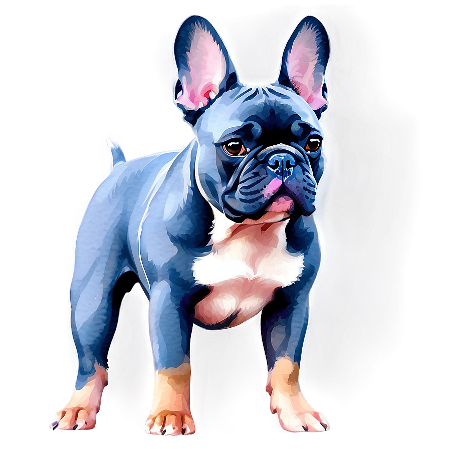 French Bulldog Watercolor Png Yrx