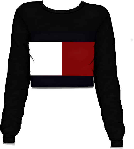 French Flag Crop Top Design