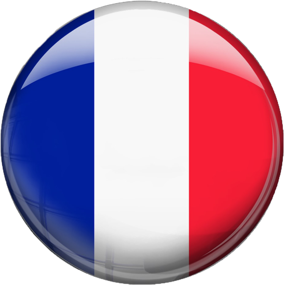 French National Flag Button