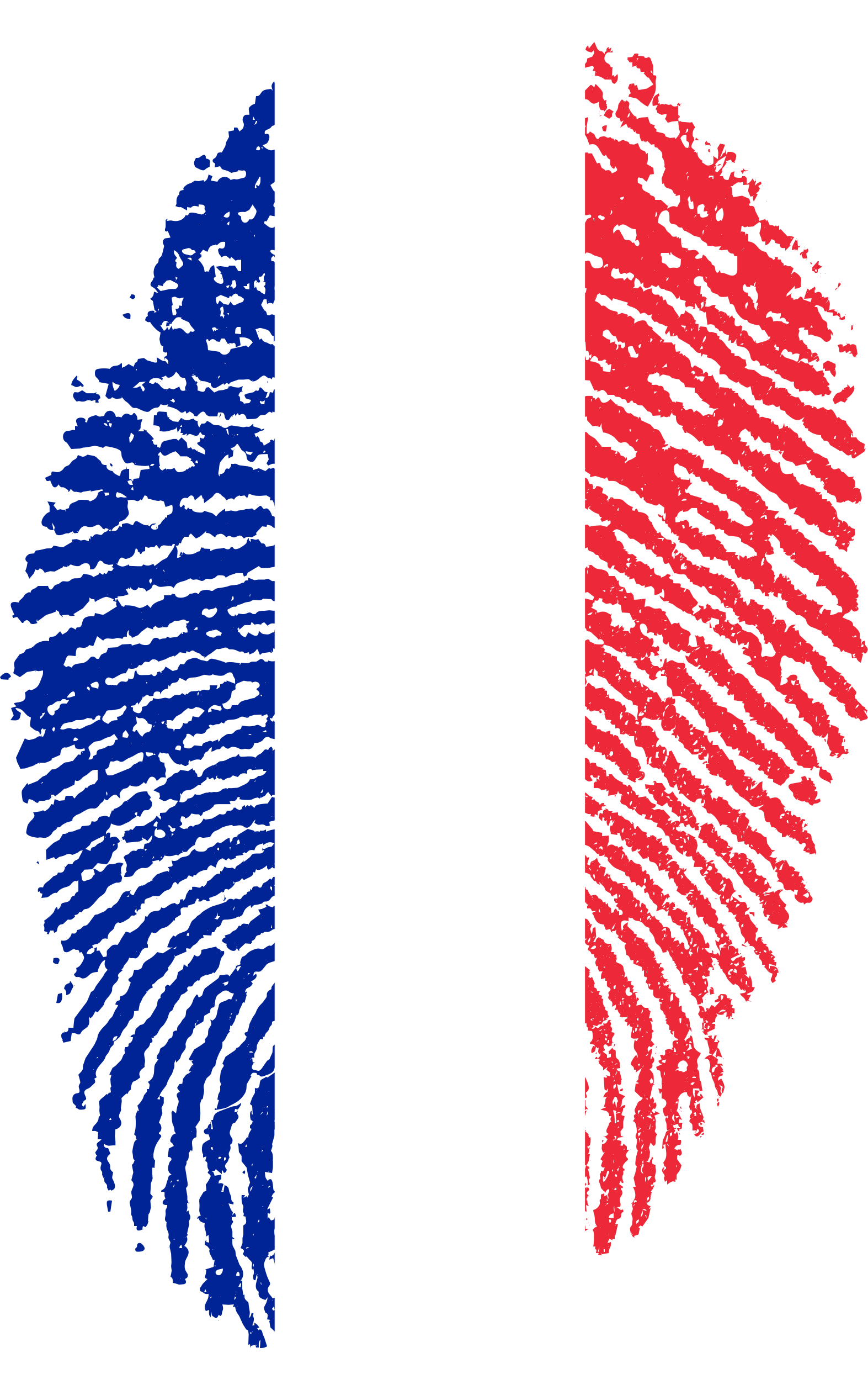 France Flag Fingerprint Country - France Flag Fingerprint, HD Png Download PNG with transparent background