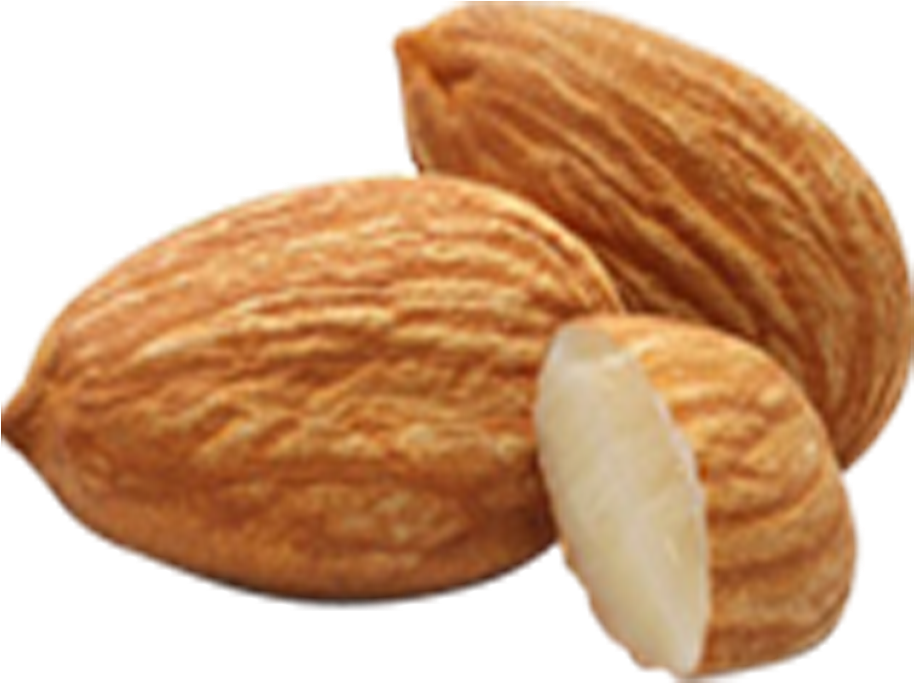 Almond Amygdalin Nut Apricot Kernel Seed - Almond Png, Transparent Png PNG with transparent background
