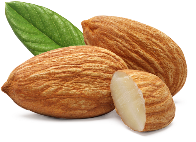 Almond Png, Transparent Png PNG with transparent background