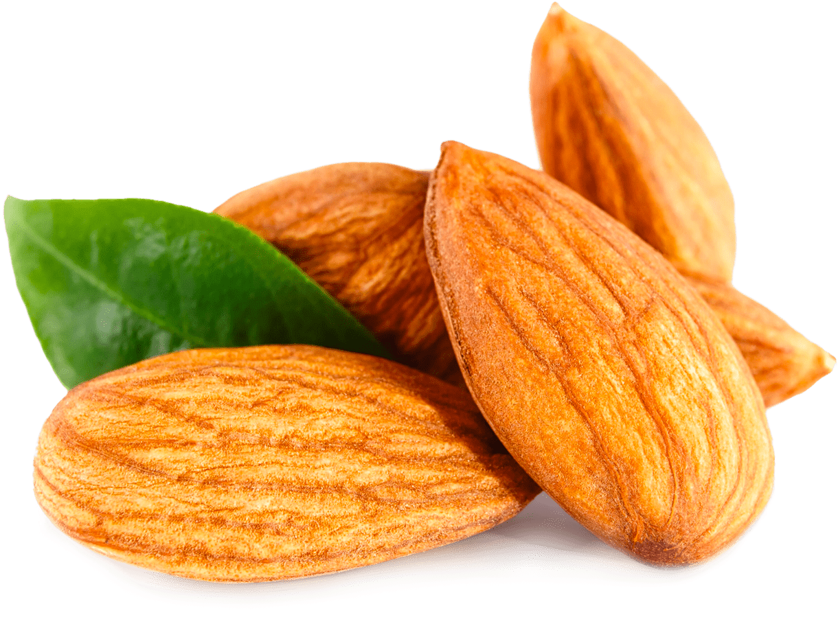 Almond, HD Png Download PNG with transparent background