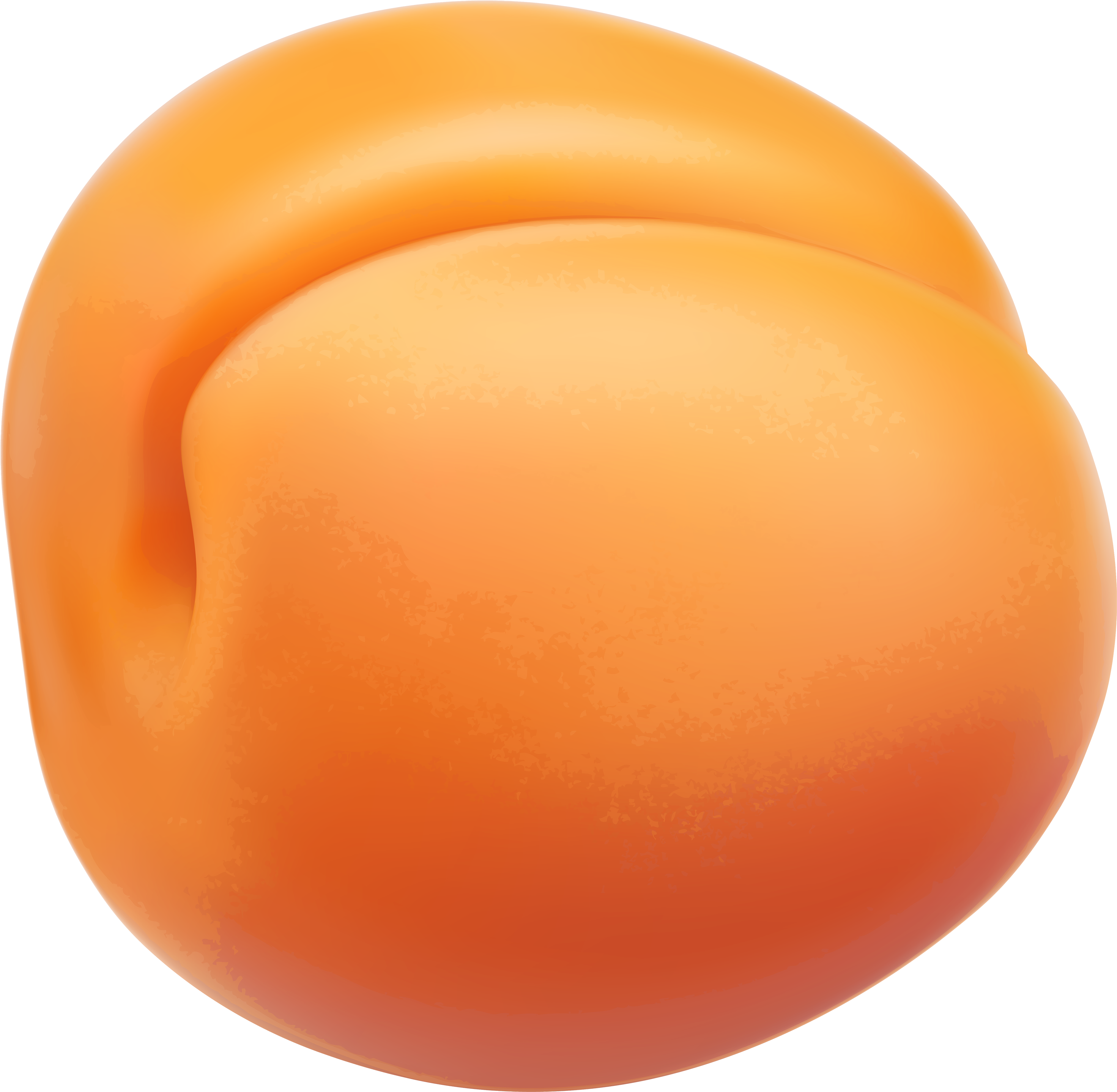 Fresh Apricot Single Fruit