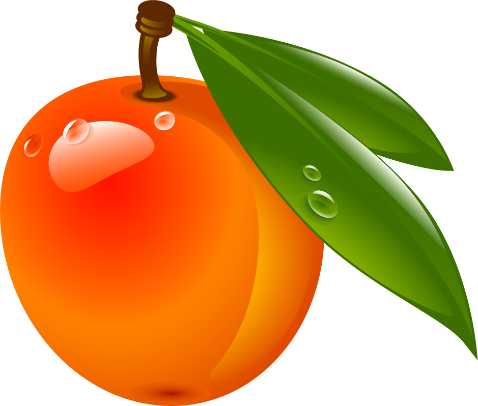 Clip Art, HD Png Download PNG with transparent background
