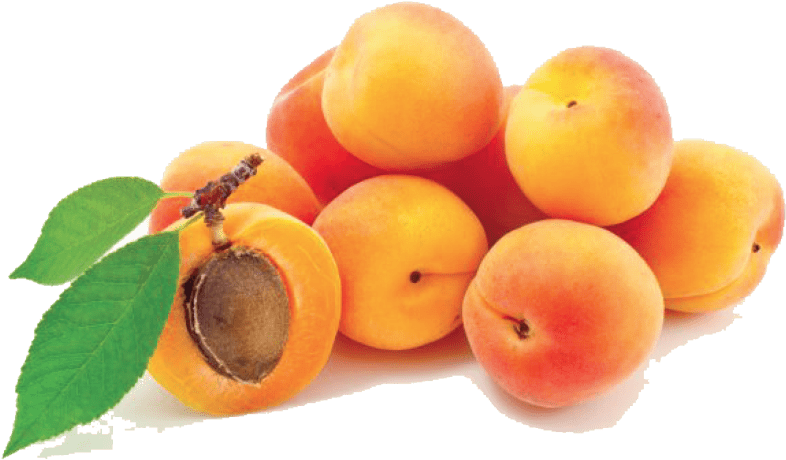 Fresh Apricots Cluster.png