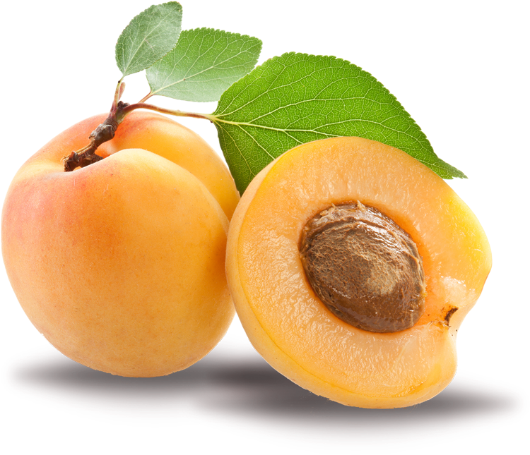 Apricot Kernel Png, Transparent Png PNG with transparent background