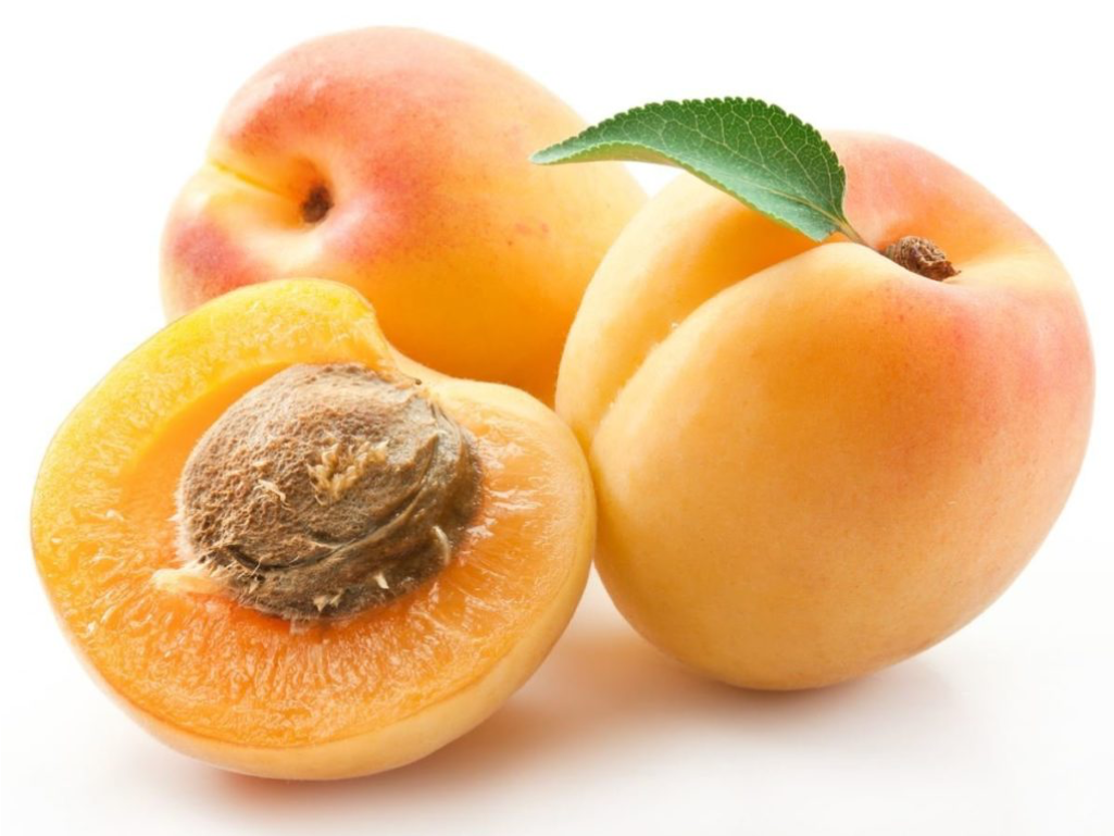 Apricot On White Background, HD Png Download PNG with transparent background