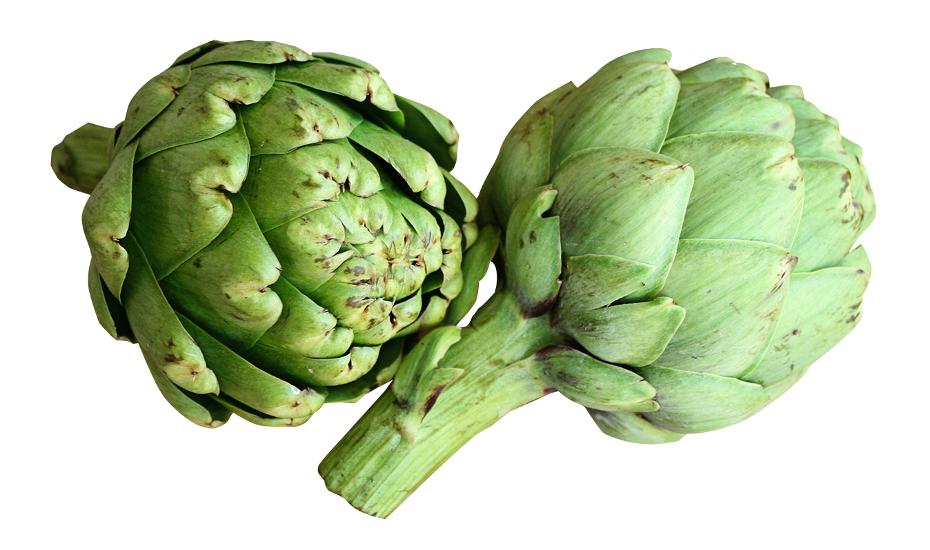 Fresh Artichokes Isolated