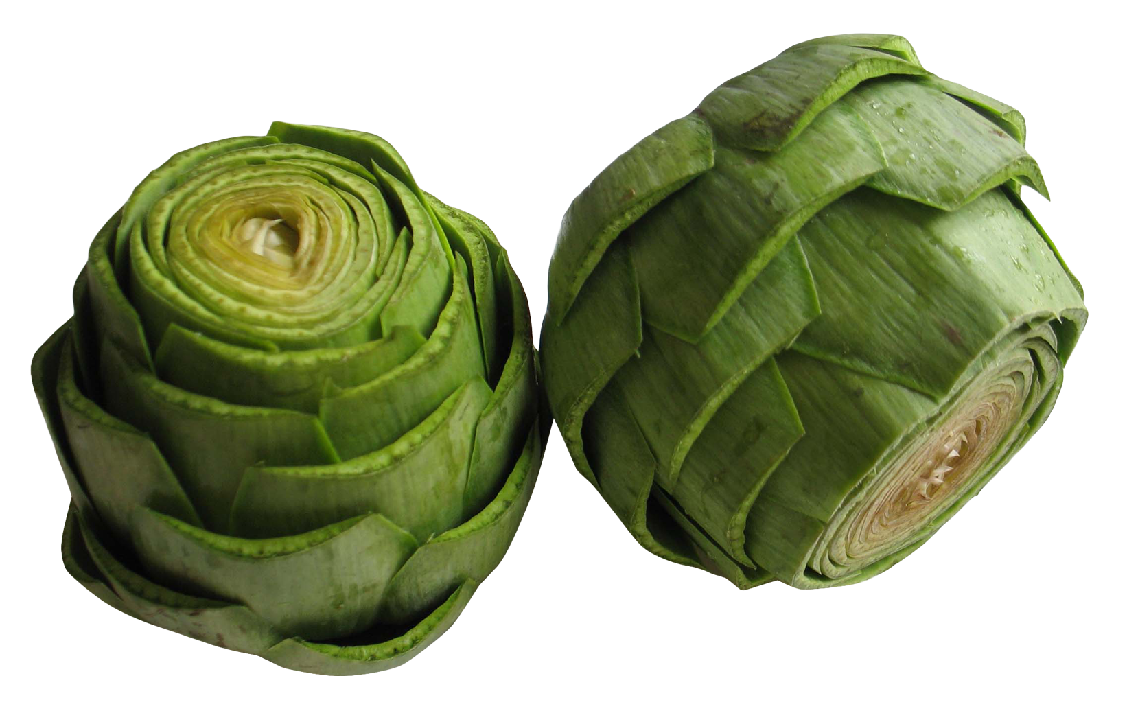 Fresh Artichokes Transparent Background