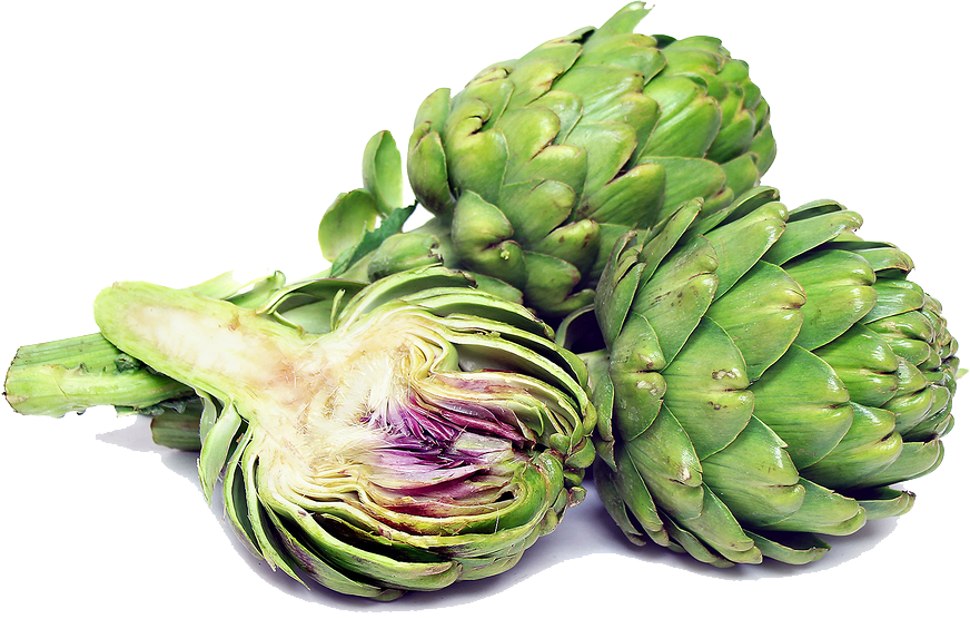Artichokes Png Transparent Image - Artichoke Is Vegetable Or Fruit, Png Download PNG with transparent background