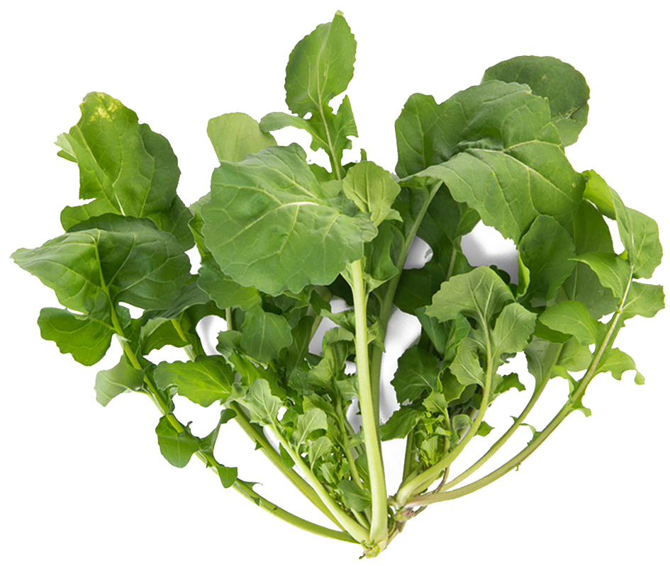 Arugula Png Download Image - Png Vegetable Plant, Transparent Png PNG with transparent background