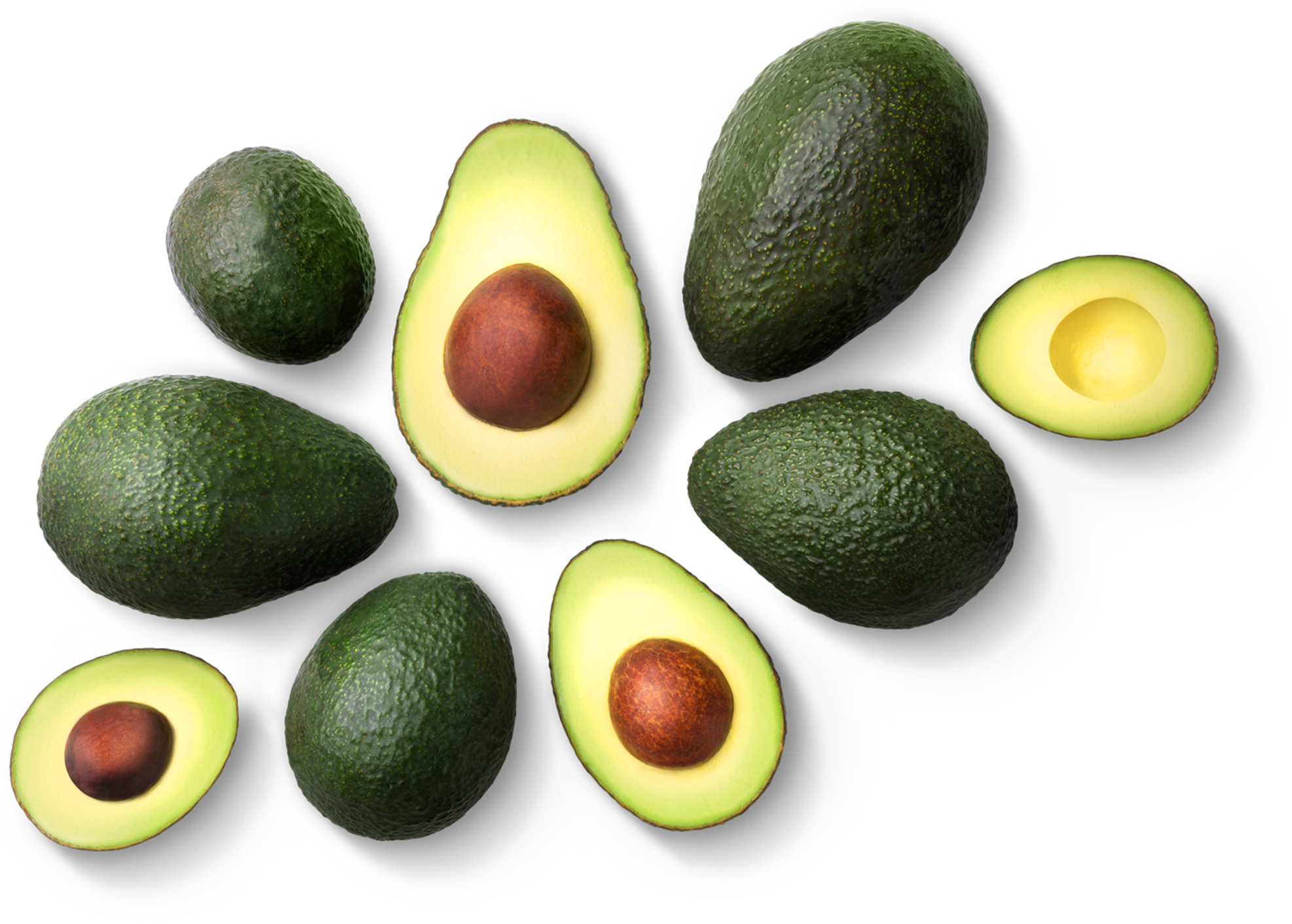 Fresh Avocado Selection