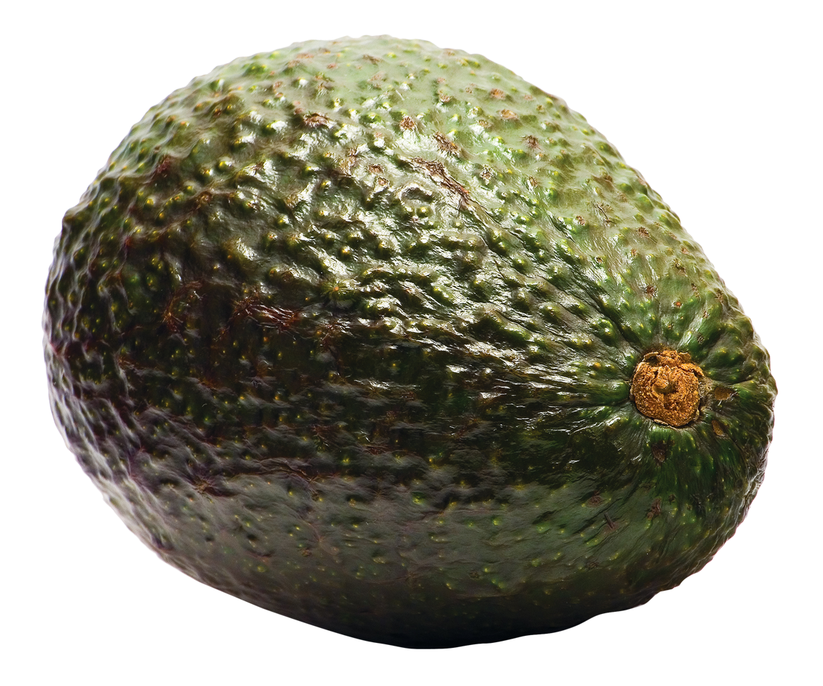 Fresh Avocado Single Fruit PNG with transparent background