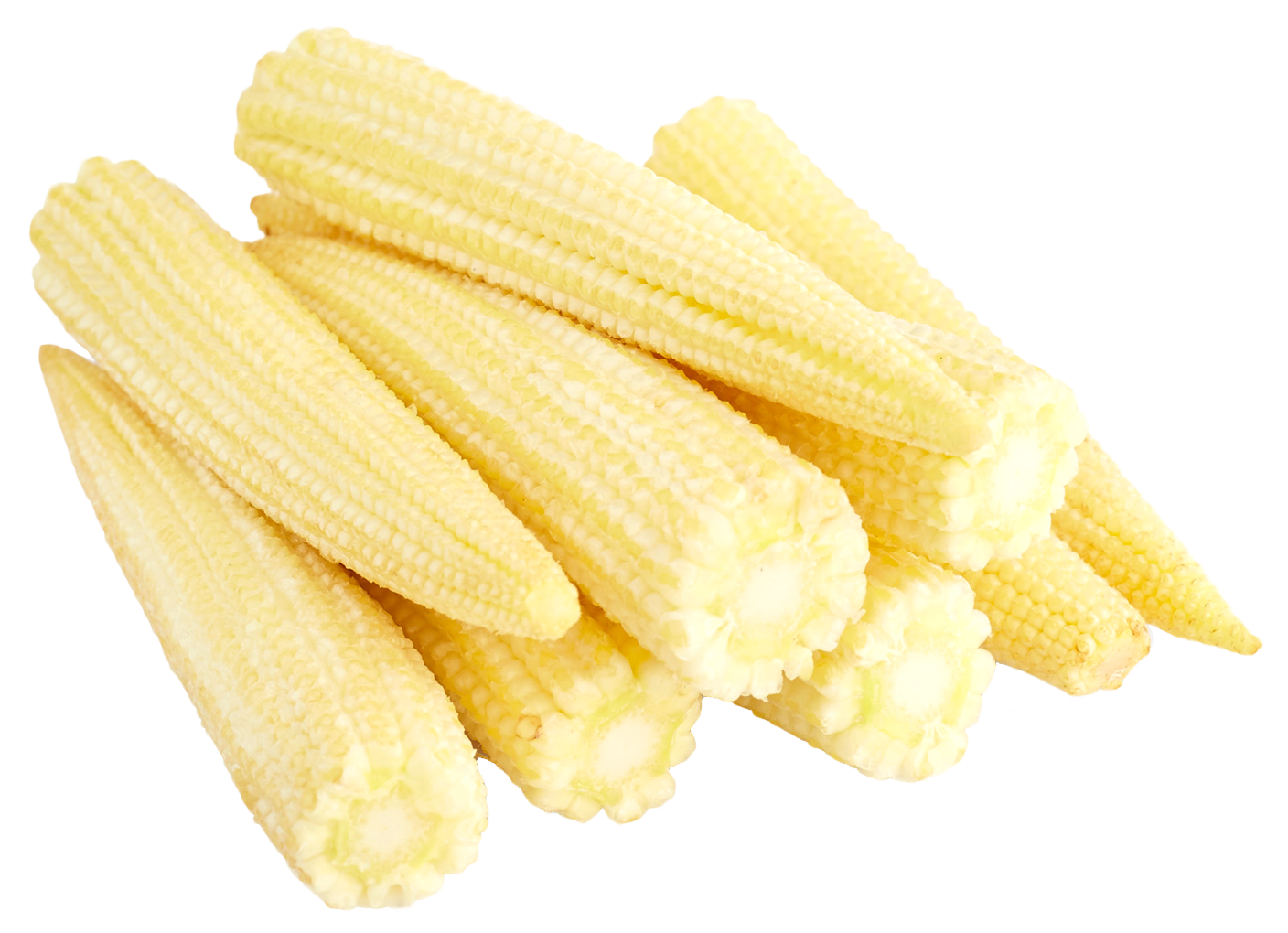 Fresh Baby Corn Isolatedon Background