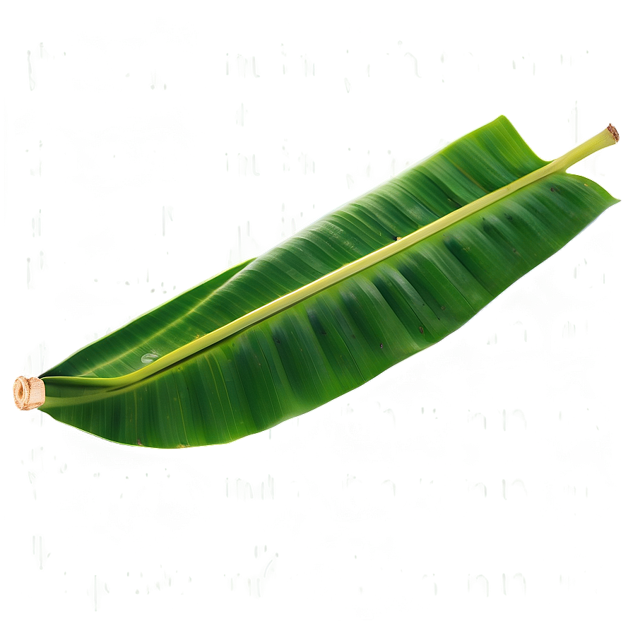 Fresh Banana Leaf Png Glk