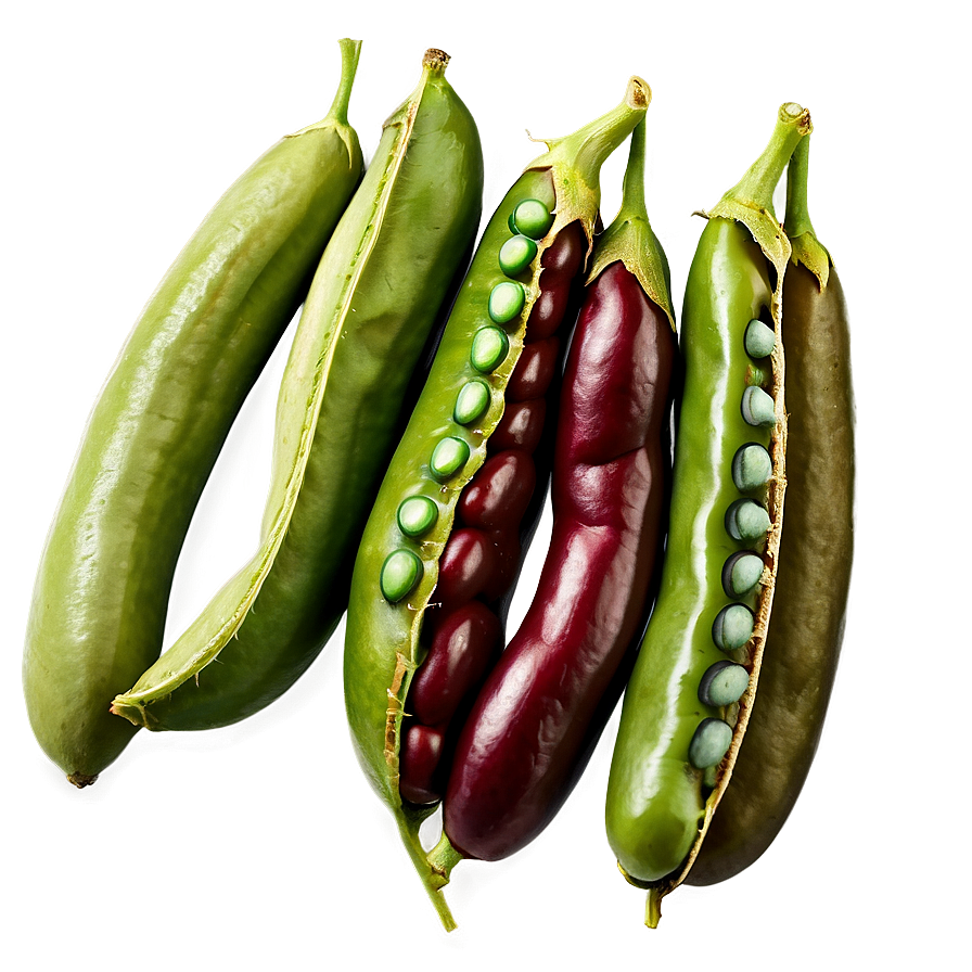 Fresh Bean Image Png 41