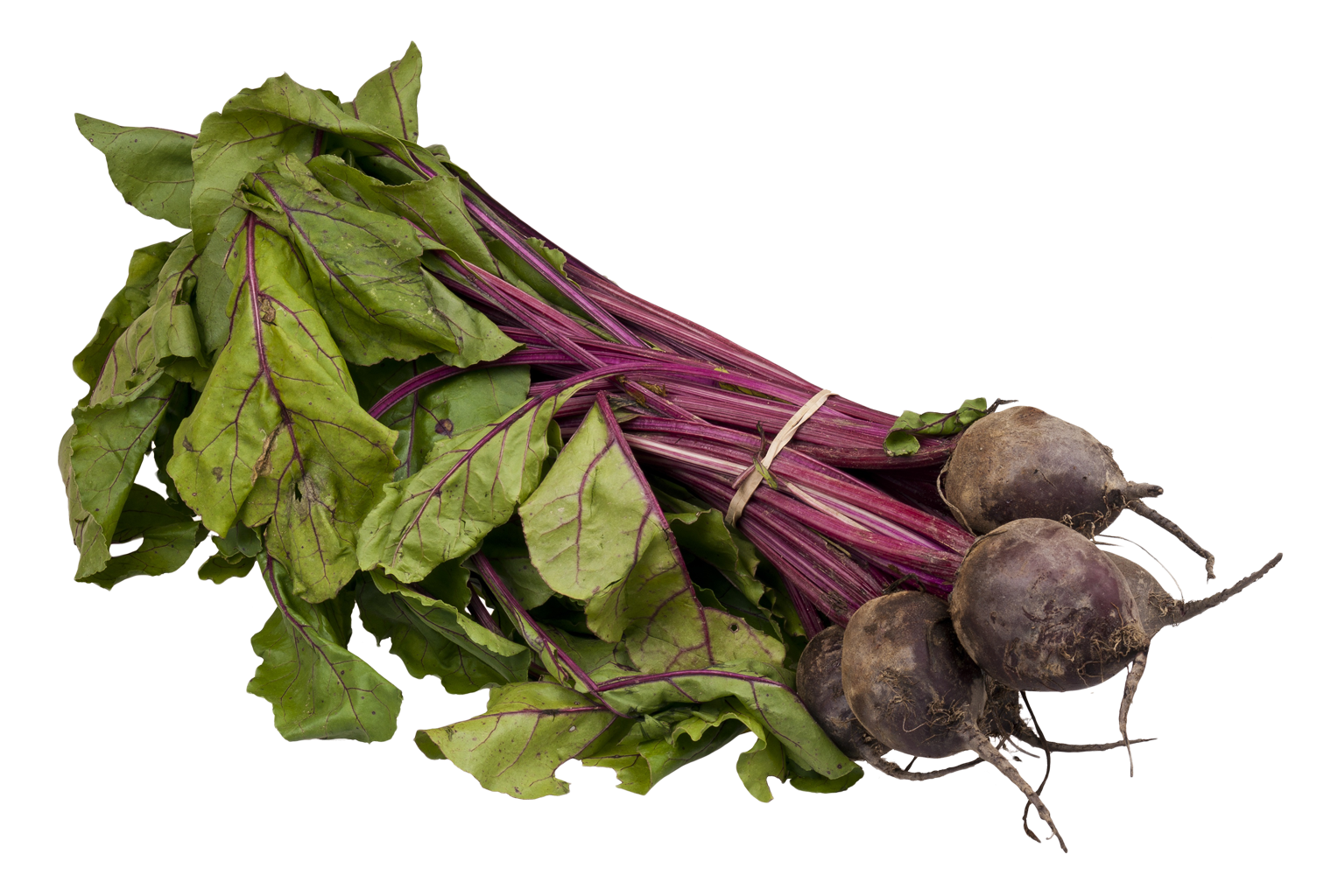 Fresh Beetroot Bunchwith Leaves