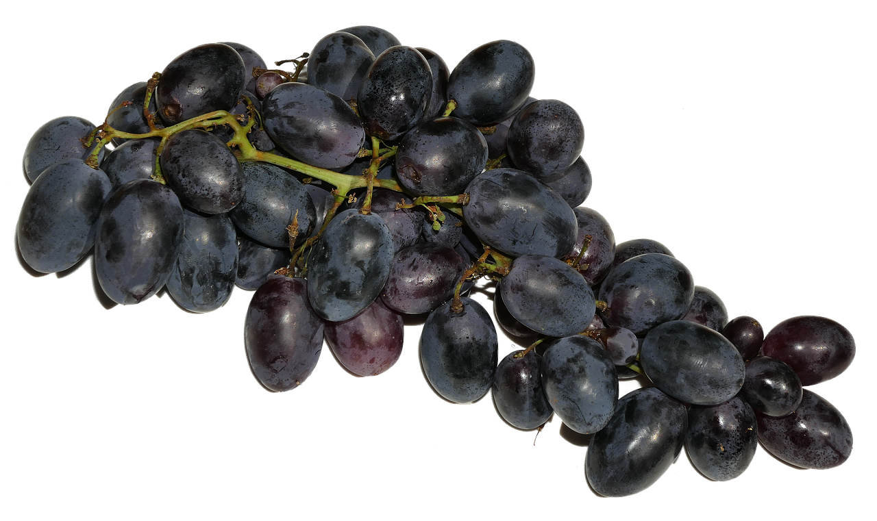 Fresh Black Grapes Cluster.jpg PNG with transparent background