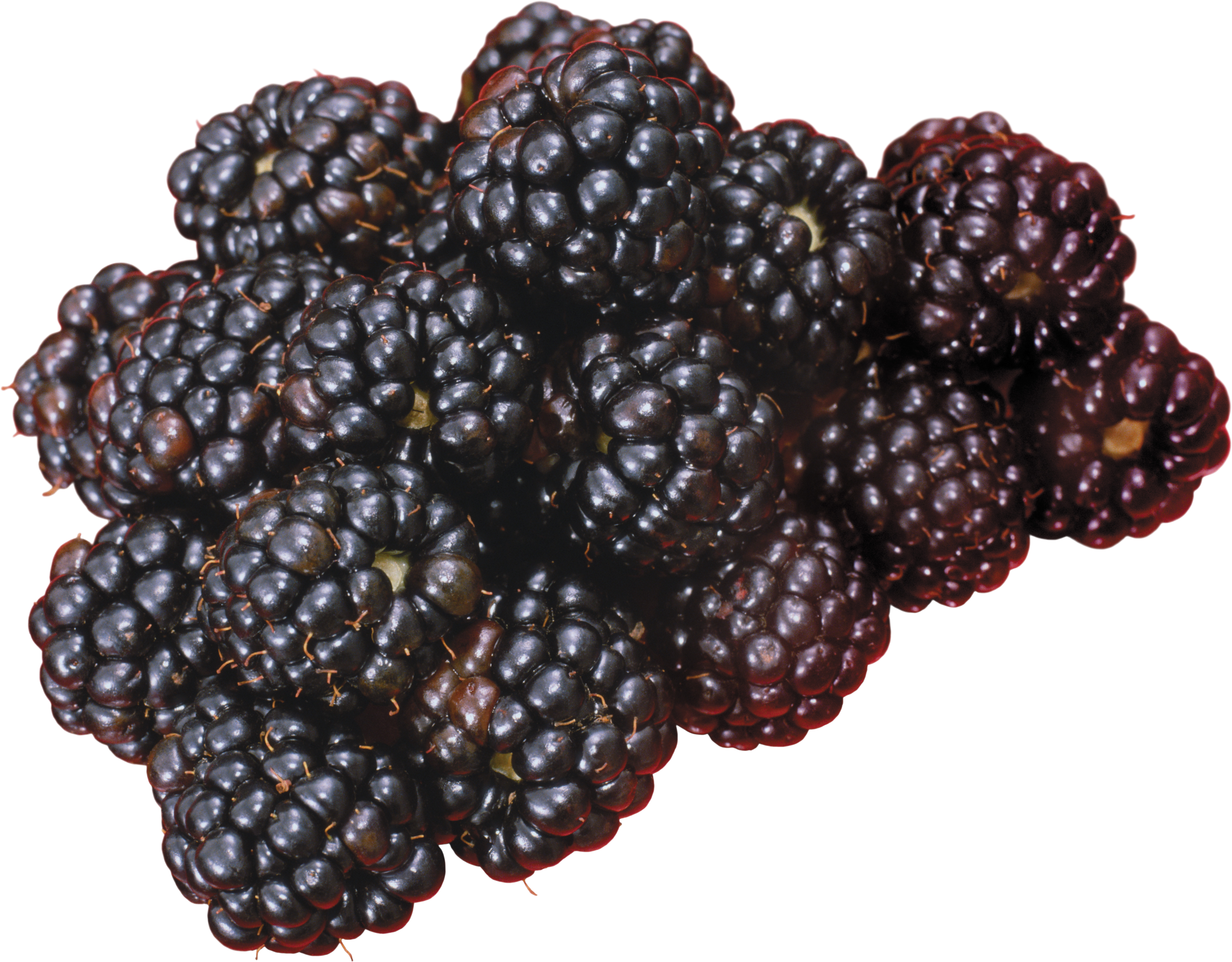 Blackberry Png, Transparent Png PNG with transparent background