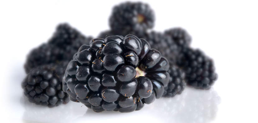 Blackberry , Png Download - Blackberry, Transparent Png PNG with transparent background